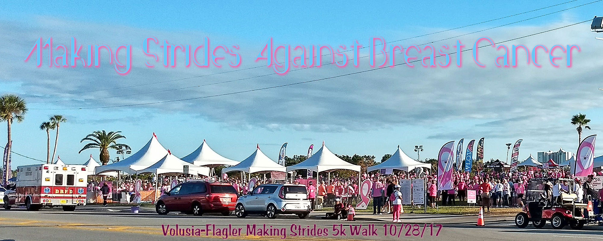 Making Strides Walk for Breast Cancer 2017