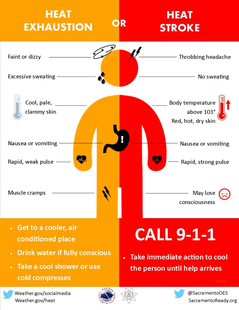 Heat Illnes~ Signs and What to Do