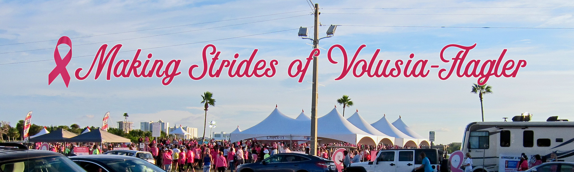 Making Strides 2018